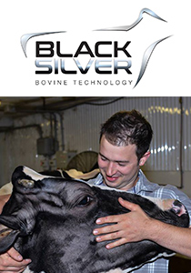 Finalistes locaux - Création d'entreprise
